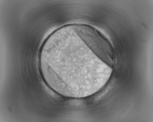 X0000114430998200911131328