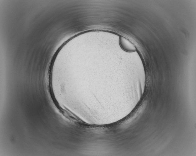 X0000114430999200911131328