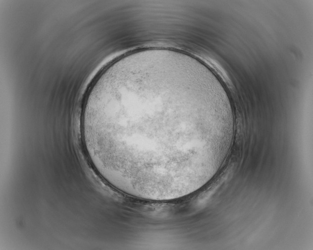 X0000114431000200911131328