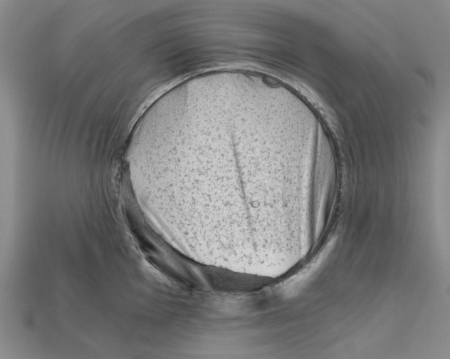 X0000114431001200911131328