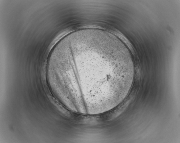 X0000114431002200911131328