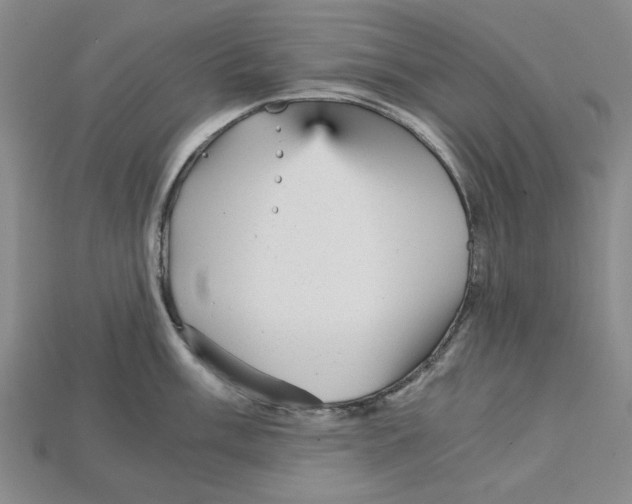 X0000114431003200911131328