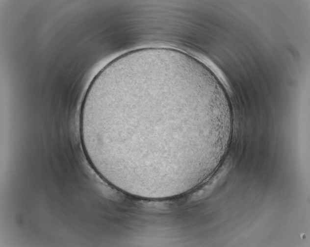 X0000114431004200911131328