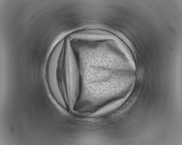 X0000114431005200911131328