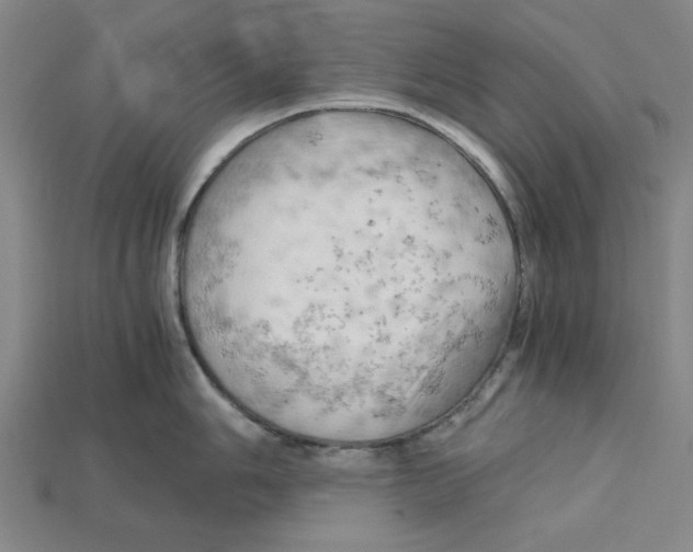 X0000114431006200911131328