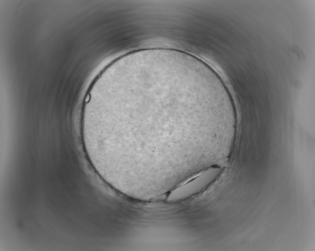 X0000114431008200911131328