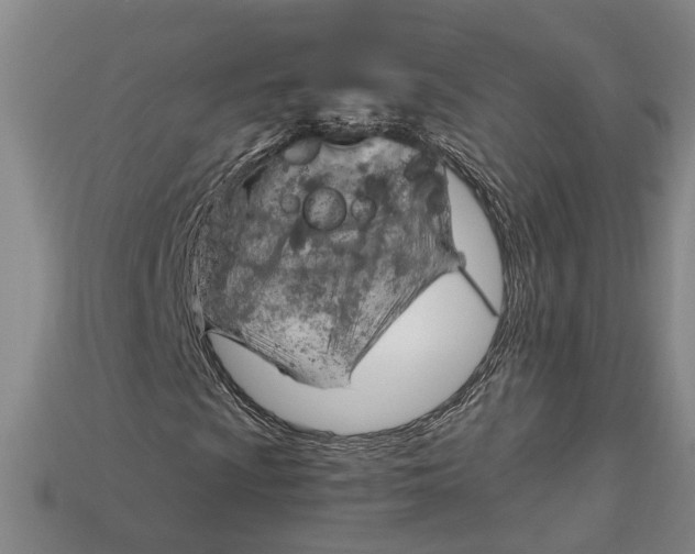 X0000114431009200911131327