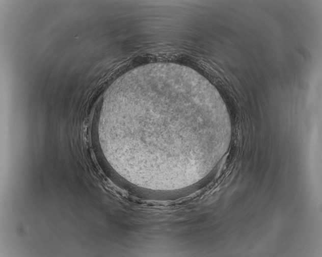 X0000114431010200911131327