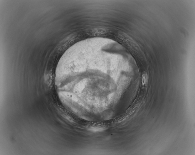 X0000114431011200911131327