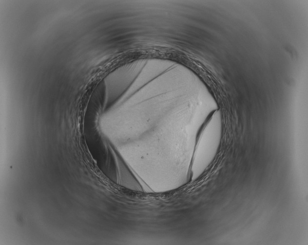 X0000114431013200911131327