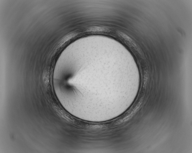 X0000114431017200911131327