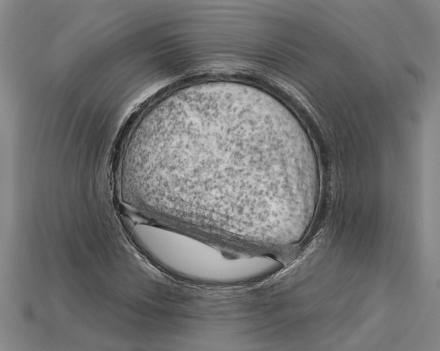 X0000114431018200911131327