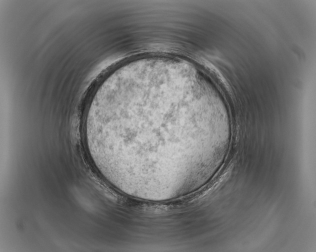 X0000114431019200911131327