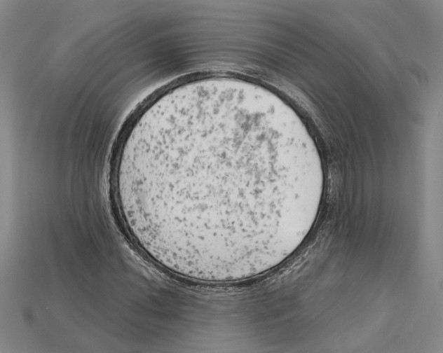 X0000114431020200911131327