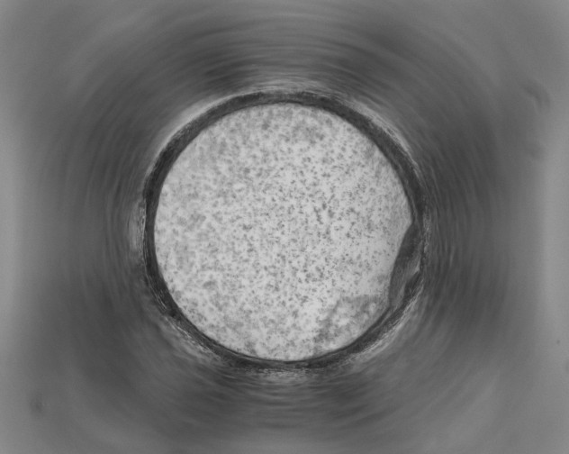 X0000114431021200911131327