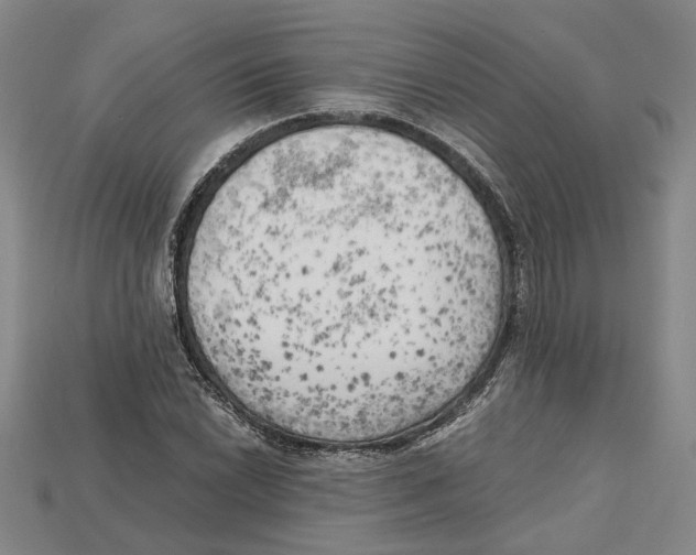 X0000114431022200911131327