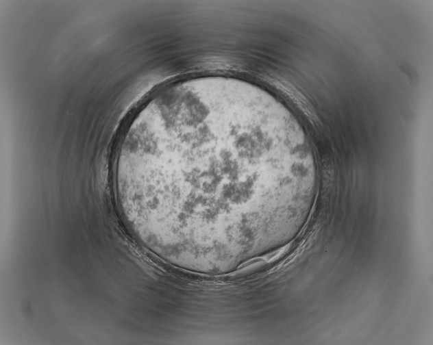 X0000114431023200911131327