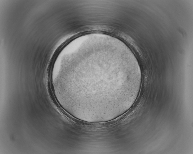 X0000114431024200911131327