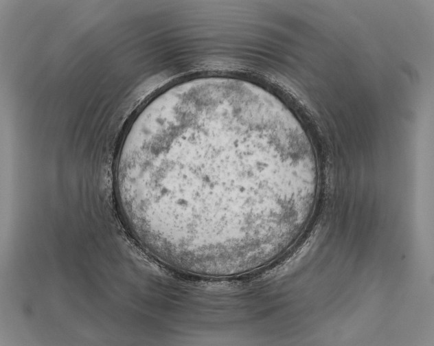 X0000114431025200911131327