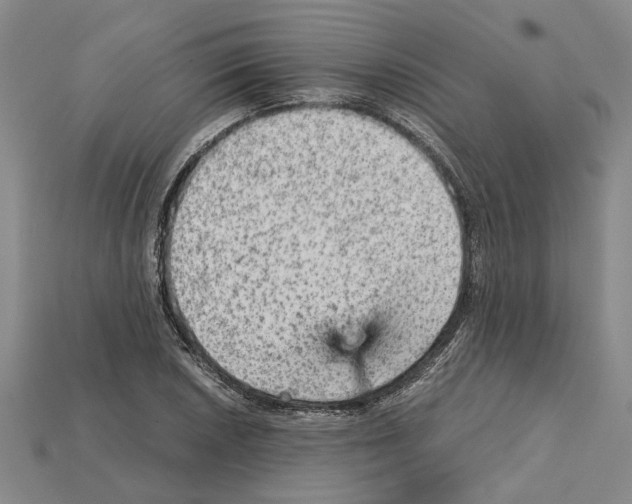 X0000114431026200911131327