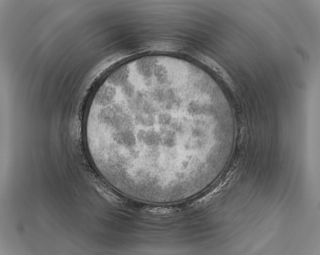 X0000114431027200911131327