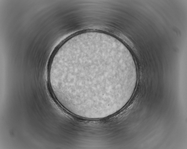 X0000114431028200911131327