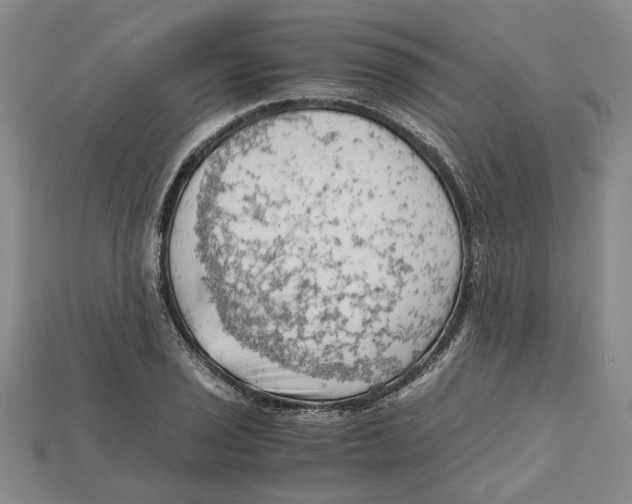 X0000114431029200911131327