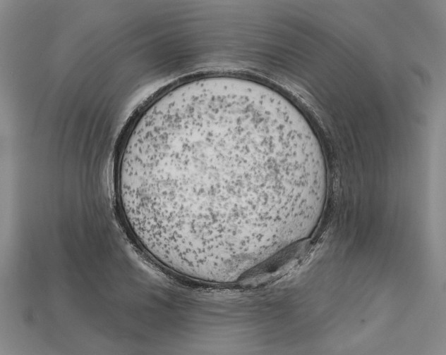 X0000114431030200911131327