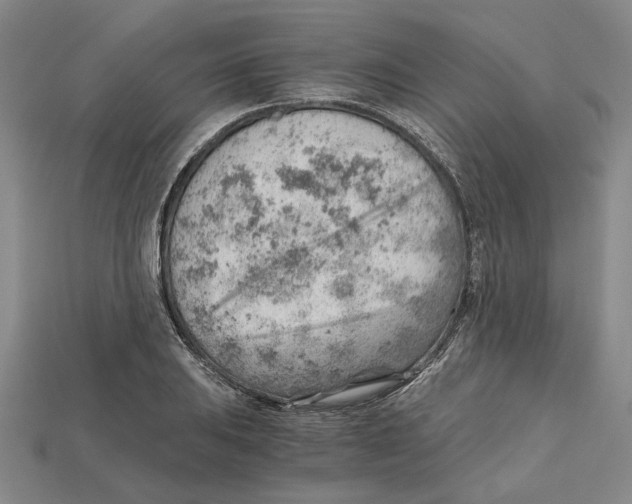 X0000114431031200911131327