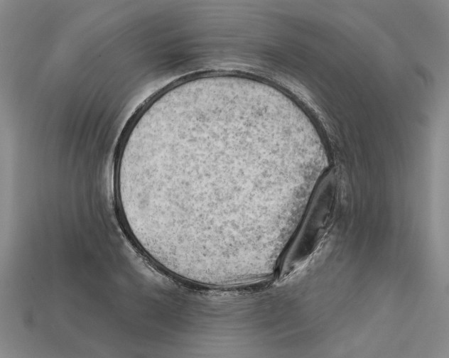 X0000114431032200911131327