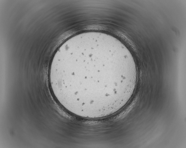 X0000114431033200911131327