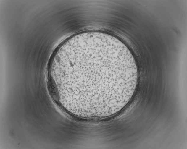 X0000114431034200911131327