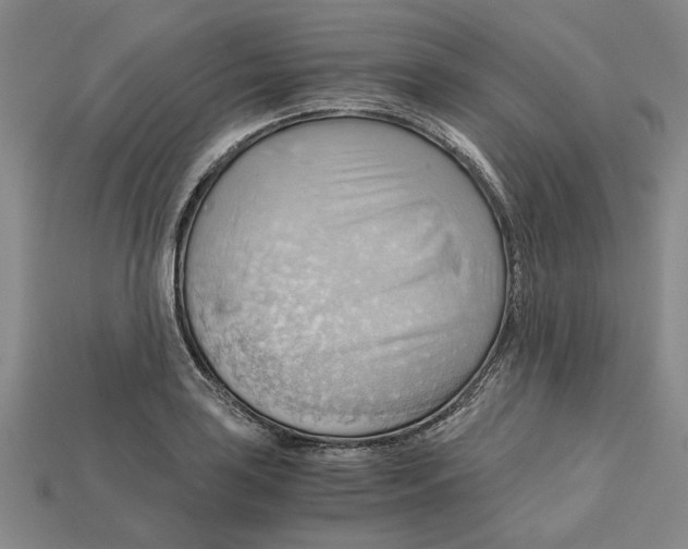 X0000114431035200911131327