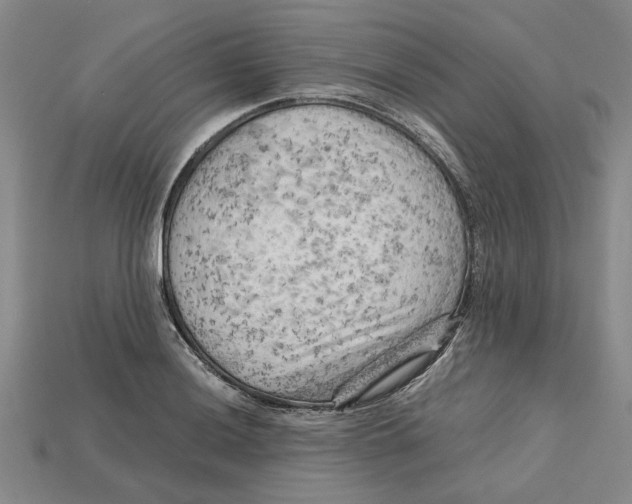 X0000114431036200911131327