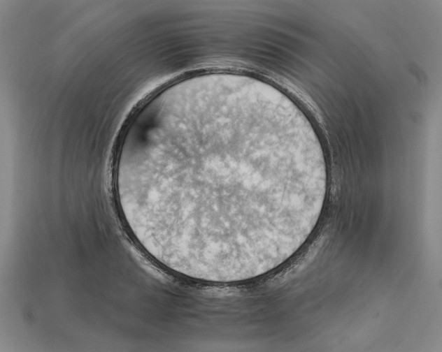 X0000114431037200911131327