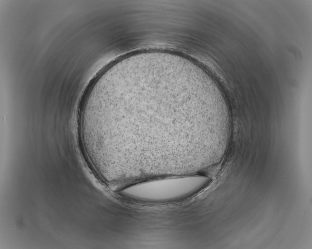 X0000114431038200911131327