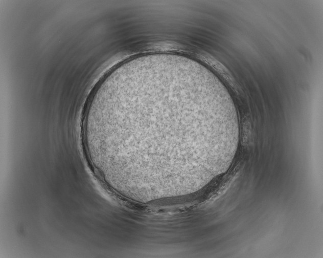 X0000114431039200911131327