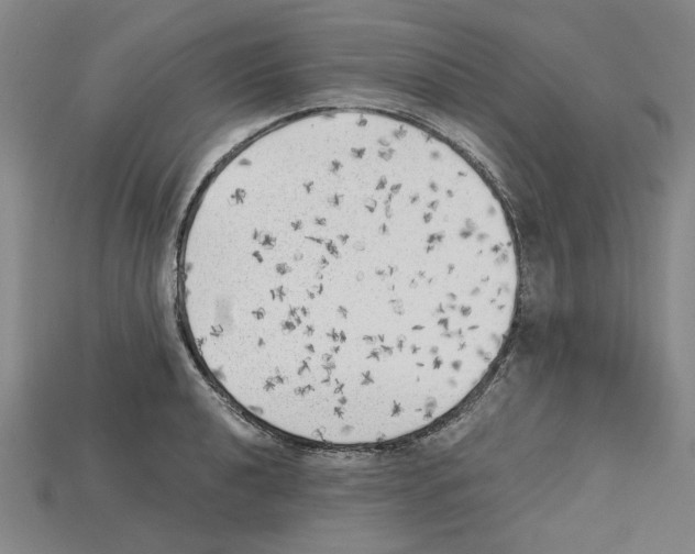 X0000114431040200911131327