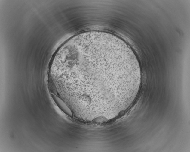 X0000114431042200911131327