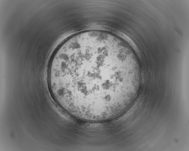 X0000114431043200911131327