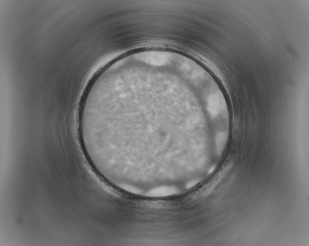 X0000114431045200911131327