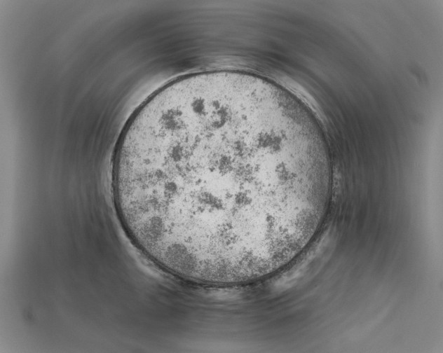 X0000114431047200911131327