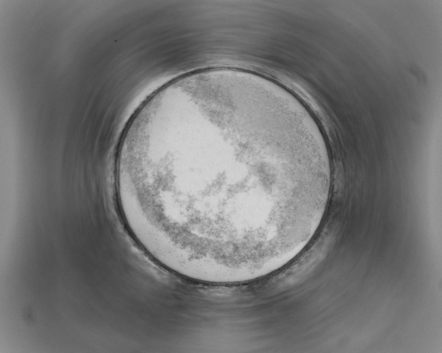 X0000114431048200911131327