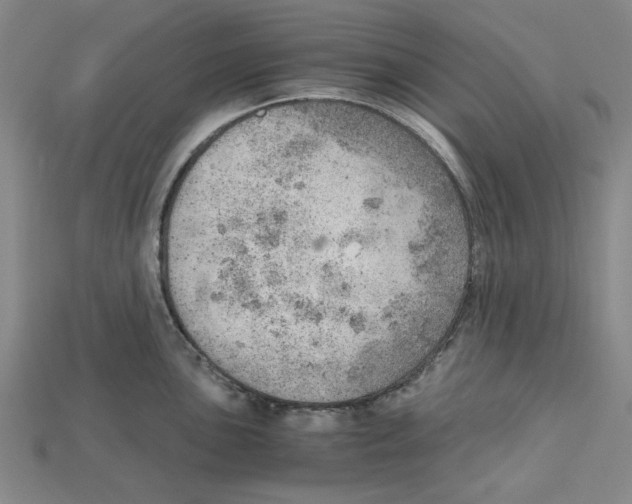 X0000114431051200911131327