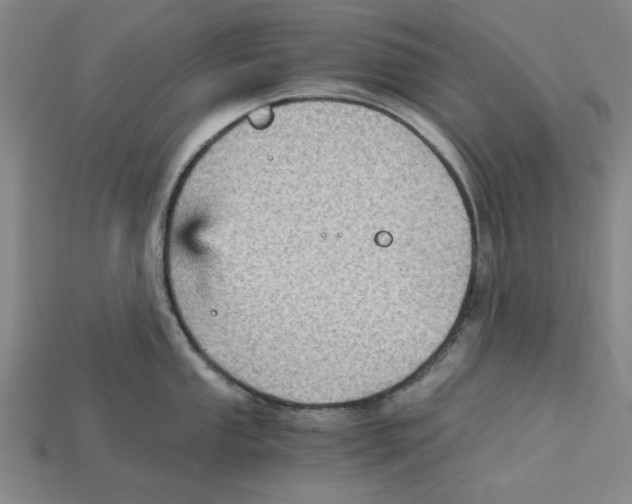 X0000114431053200911131327