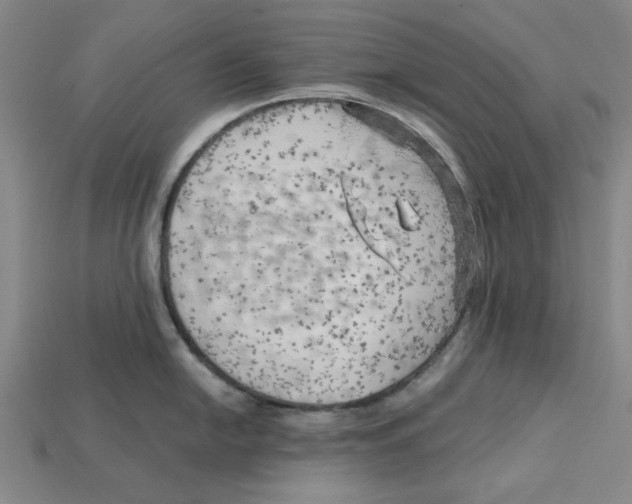 X0000114431054200911131327