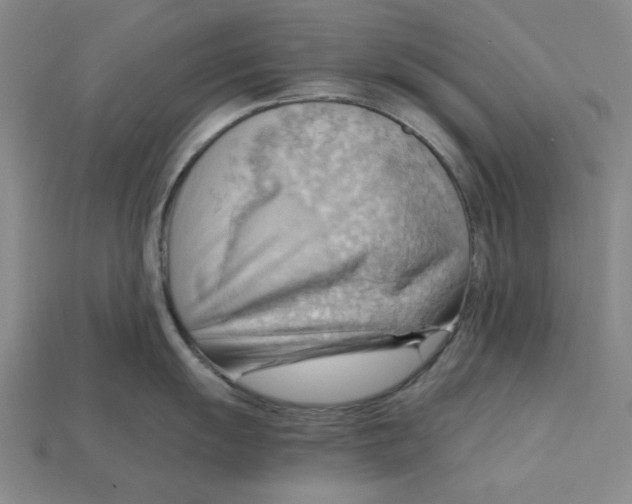 X0000114431055200911131327