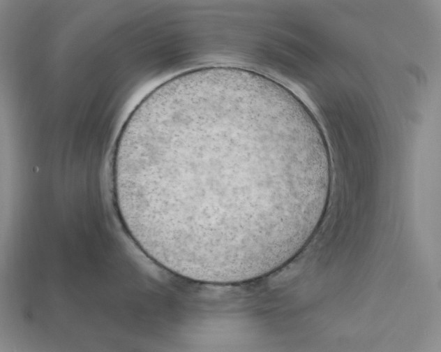 X0000114431056200911131327