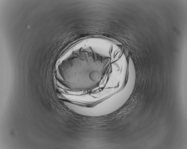 X0000114431057200911131327