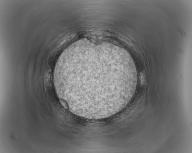 X0000114431059200911131327